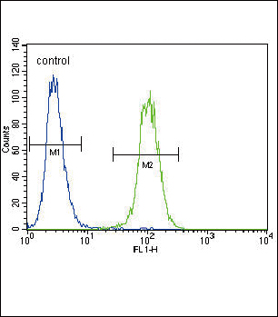 4 - Urokinase (PLAU) Antibody (C-term) AP8161B