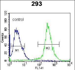 4 - R MKP3 Antibody AP8445a