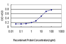 10 - APOM Antibody (monoclonal) (M02) AT1172a