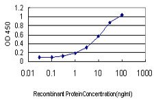 10 - ATN1 Antibody (monoclonal) (M01) AT1225a