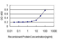 10 - B3GALT2 Antibody (monoclonal) (M02) AT1252a