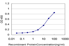 10 - B3GNT1 Antibody (monoclonal) (M05) AT1254a
