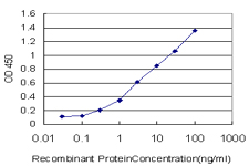10 - B4GALNT1 Antibody (monoclonal) (M02) AT1255a