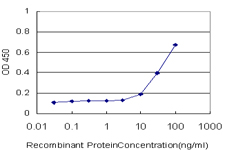 10 - BARHL1 Antibody (monoclonal) (M03) AT1270a
