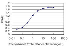 10 - BATF Antibody (monoclonal) (M03) AT1273a
