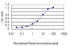 10 - BCL7B Antibody (monoclonal) (M01) AT1284a
