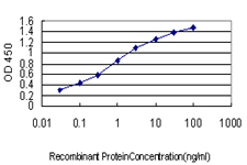 10 - BHLHB2 Antibody (monoclonal) (M01) AT1297a