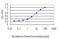 10 - CILP Antibody (monoclonal) (M01) AT1539a
