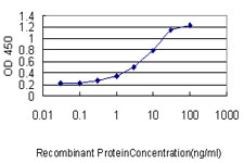10 - CMTM5 Antibody (monoclonal) (M01) AT1567a