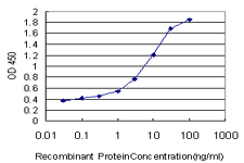 10 - DAO Antibody (monoclonal) (M01) AT1711a