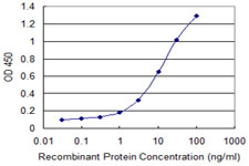 10 - DDX43 Antibody (monoclonal) (M07) AT1737a