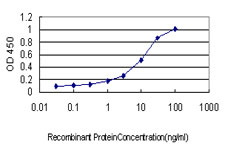 10 - DST Antibody (monoclonal) (M01) AT1822a