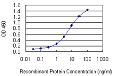 10 - E2F3 Antibody (monoclonal) (M01) AT1834a