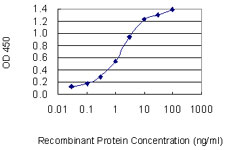 10 - E2F3 Antibody (monoclonal) (M01) AT1834a