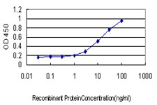 10 - EGFL7 Antibody (monoclonal) (M01) AT1862a