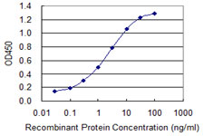 10 - EIF4G1 Antibody (monoclonal) (M01) AT1880a