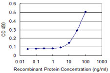 10 - ELF5 Antibody (monoclonal) (M01) AT1896a