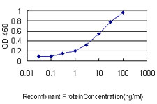 10 - EPDR1 Antibody (monoclonal) (M01) AT1924a