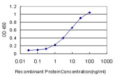 10 - ERH Antibody (monoclonal) (M14) AT1942a
