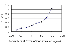 10 - EXOC7 Antibody (monoclonal) (M01) AT1965a