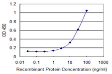 10 - FLJ10986 Antibody (monoclonal) (M04) AT2063a