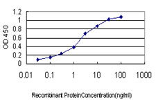 10 - FLJ23834 Antibody (monoclonal) (M03) AT2071a