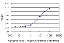 10 - FNDC3A Antibody (monoclonal) (M01) AT2079a