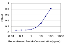 10 - G10 Antibody (monoclonal) (M10) AT2134a