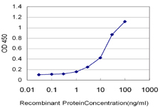 10 - GALNTL4 Antibody (monoclonal) (M01) AT2148a