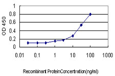 10 - GNAI1 Antibody (monoclonal) (M01) AT2225a