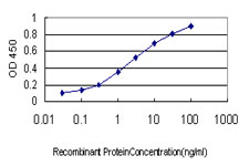 10 - GNG4 Antibody (monoclonal) (M01) AT2231a