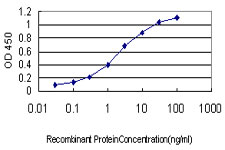 10 - GNGT2 Antibody (monoclonal) (M01) AT2233a