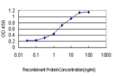 10 - GRID1 Antibody (monoclonal) (M01) AT2262a
