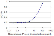 10 - HAPLN4 Antibody (monoclonal) (M12) AT2316a