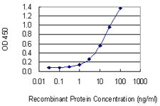 10 - HELLS Antibody (monoclonal) (M04) AT2347a