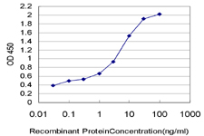 10 - HELZ Antibody (monoclonal) (M04) AT2349a