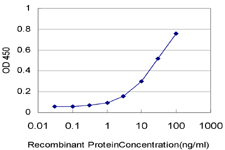 10 - HRSP12 Antibody (monoclonal) (M01) AT2437a