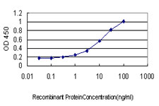 10 - ICA1 Antibody (monoclonal) (M01) AT2467a
