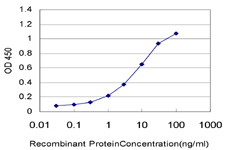 10 - IFNE1 Antibody (monoclonal) (M01) AT2489a
