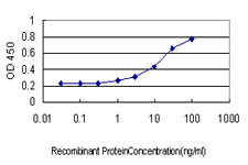 10 - IGSF6 Antibody (monoclonal) (M01) AT2495a