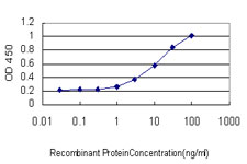 10 - IL1RAPL1 Antibody (monoclonal) (M04) AT2512a