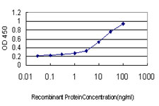 10 - IQGAP3 Antibody (monoclonal) (M01) AT2537a