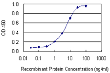 10 - ITPKB Antibody (monoclonal) (M01) AT2574a