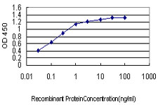10 - JPH1 Antibody (monoclonal) (M04) AT2584a