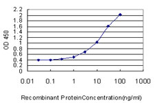 10 - KCNMB3 Antibody (monoclonal) (M02) AT2601a