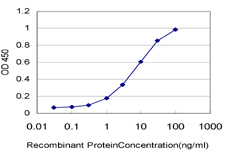 10 - KIAA0804 Antibody (monoclonal) (M01) AT2613a