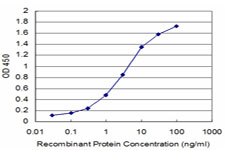 10 - KLRB1 Antibody (monoclonal) (M01) AT2643a