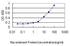 10 - KLRC3 Antibody (monoclonal) (M01) AT2644a