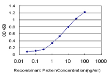 10 - LAMA5 Antibody (monoclonal) (M01) AT2669a