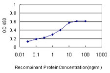 10 - LOC124220 Antibody (monoclonal) (M01) AT2731a